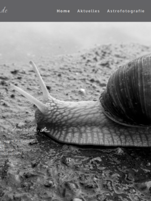 Neues WWW-Erscheinungsbild