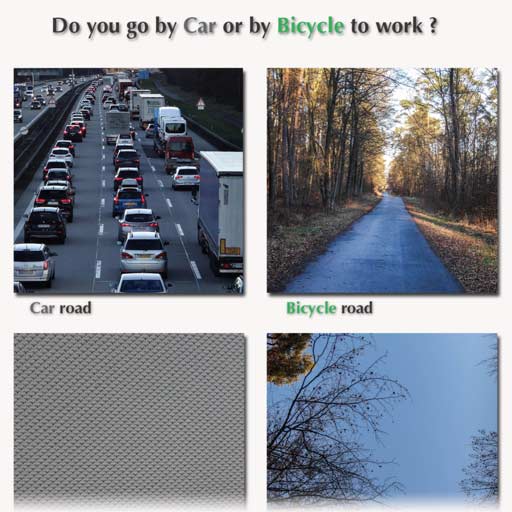 Car vs. bike blog image