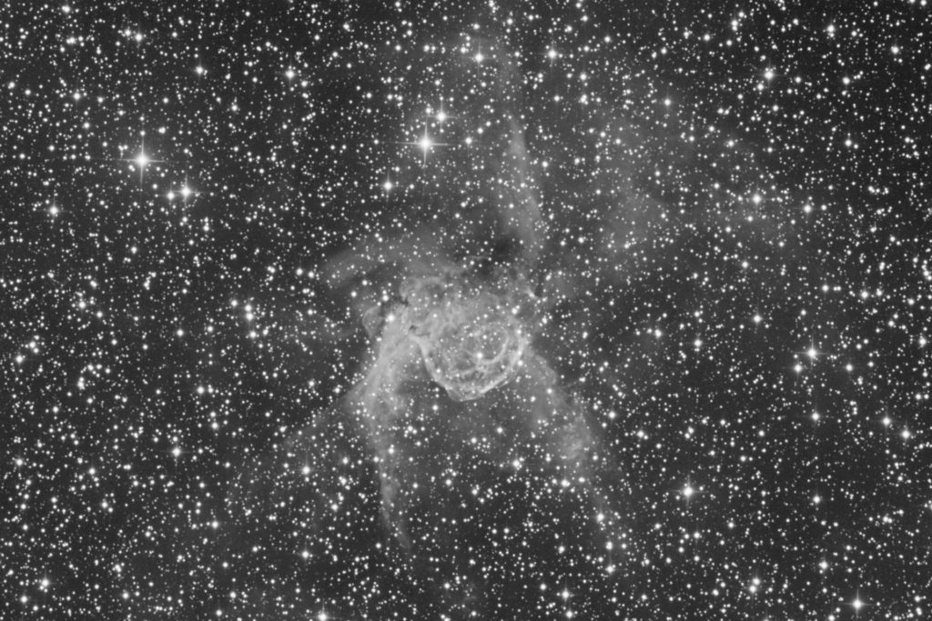 Wolf Rayet-Stern und NGC 2359 im Großen Hund