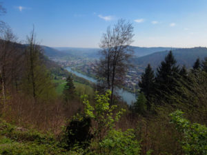 Blick über das Neckartal auf Neckargmünd