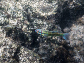 TJDomsalla_0001_SONY-DSC-RX100M5_20170608_0001001_8.8 mm_ISO 125_1-250 Sek. bei f - 3,5.jpg TJDomsalla_0001_SONY-DSC-RX100M5_20170608_0001001_8.8 mm_ISO 125_1-250 Sek. bei f - 3,5.jpg