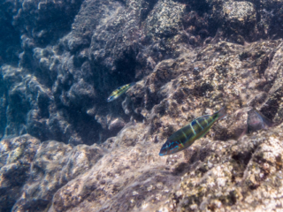 TJDomsalla_0002_SONY-DSC-RX100M5_20170608_0002002_8.8 mm_ISO 125_1-250 Sek. bei f - 4,0.jpg TJDomsalla_0002_SONY-DSC-RX100M5_20170608_0002002_8.8 mm_ISO 125_1-250 Sek. bei f - 4,0.jpg