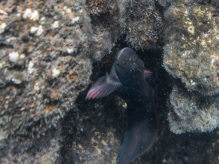 TJDomsalla_0003_SONY-DSC-RX100M5_20170608_0003003_8.8 mm_ISO 125_1-250 Sek. bei f - 3,2.jpg TJDomsalla_0003_SONY-DSC-RX100M5_20170608_0003003_8.8 mm_ISO 125_1-250 Sek. bei f - 3,2.jpg