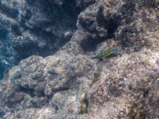 TJDomsalla_0004_SONY-DSC-RX100M5_20170608_0004004_8.8 mm_ISO 125_1-250 Sek. bei f - 4,0.jpg TJDomsalla_0004_SONY-DSC-RX100M5_20170608_0004004_8.8 mm_ISO 125_1-250 Sek. bei f - 4,0.jpg