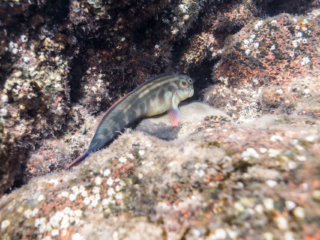 TJDomsalla_0005_SONY-DSC-RX100M5_20170608_0005005_8.8 mm_ISO 125_1-250 Sek. bei f - 2,5.jpg TJDomsalla_0005_SONY-DSC-RX100M5_20170608_0005005_8.8 mm_ISO 125_1-250 Sek. bei f - 2,5.jpg