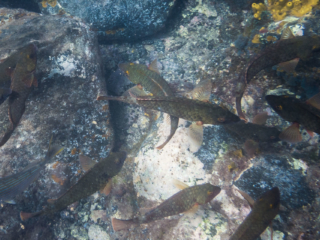 TJDomsalla_0006_SONY-DSC-RX100M5_20170608_0006006_8.8 mm_ISO 125_1-250 Sek. bei f - 4,5.jpg TJDomsalla_0006_SONY-DSC-RX100M5_20170608_0006006_8.8 mm_ISO 125_1-250 Sek. bei f - 4,5.jpg