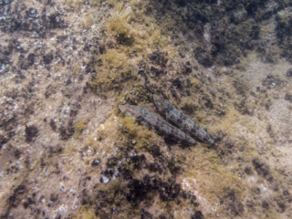 TJDomsalla_0007_SONY-DSC-RX100M5_20170608_0007007_8.8 mm_ISO 125_1-250 Sek. bei f - 5,0.jpg TJDomsalla_0007_SONY-DSC-RX100M5_20170608_0007007_8.8 mm_ISO 125_1-250 Sek. bei f - 5,0.jpg