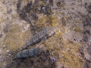 TJDomsalla_0008_SONY-DSC-RX100M5_20170608_0008008_8.8 mm_ISO 125_1-250 Sek. bei f - 5,0.jpg TJDomsalla_0008_SONY-DSC-RX100M5_20170608_0008008_8.8 mm_ISO 125_1-250 Sek. bei f - 5,0.jpg