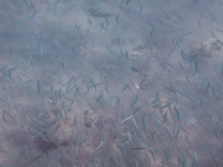 TJDomsalla_0010_SONY-DSC-RX100M5_20170608_0010010_20.81 mm_ISO 125_1-250 Sek. bei f - 6,3.jpg TJDomsalla_0010_SONY-DSC-RX100M5_20170608_0010010_20.81 mm_ISO 125_1-250 Sek. bei f - 6,3.jpg