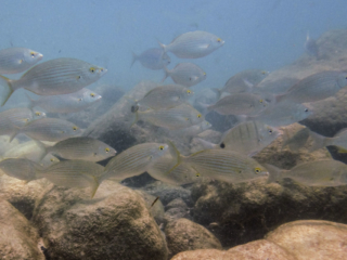 TJDomsalla_0011_SONY-DSC-TX30_20170609_0011011_4.7 mm_ISO 160_1-640 Sek. bei f - 5,6.jpg TJDomsalla_0011_SONY-DSC-TX30_20170609_0011011_4.7 mm_ISO 160_1-640 Sek. bei f - 5,6.jpg