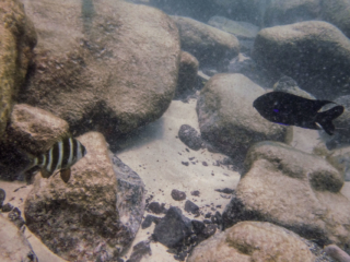 TJDomsalla_0012_SONY-DSC-TX30_20170609_0012012_4.7 mm_ISO 160_1-640 Sek. bei f - 5,6.jpg TJDomsalla_0012_SONY-DSC-TX30_20170609_0012012_4.7 mm_ISO 160_1-640 Sek. bei f - 5,6.jpg