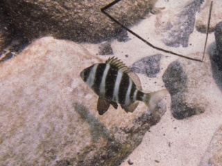 TJDomsalla_0013_SONY-DSC-TX30_20170609_0013013_4.7 mm_ISO 160_1-800 Sek. bei f - 5,6.jpg TJDomsalla_0013_SONY-DSC-TX30_20170609_0013013_4.7 mm_ISO 160_1-800 Sek. bei f - 5,6.jpg