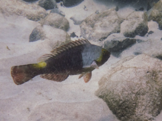 TJDomsalla_0014_SONY-DSC-TX30_20170609_0014014_4.7 mm_ISO 160_1-1000 Sek. bei f - 5,6.jpg TJDomsalla_0014_SONY-DSC-TX30_20170609_0014014_4.7 mm_ISO 160_1-1000 Sek. bei f - 5,6.jpg