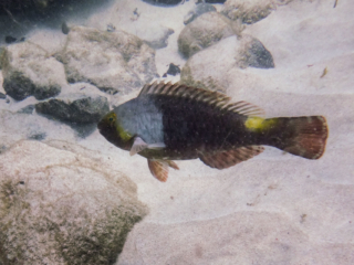 TJDomsalla_0015_SONY-DSC-TX30_20170609_0015015_4.7 mm_ISO 160_1-1000 Sek. bei f - 5,6.jpg TJDomsalla_0015_SONY-DSC-TX30_20170609_0015015_4.7 mm_ISO 160_1-1000 Sek. bei f - 5,6.jpg