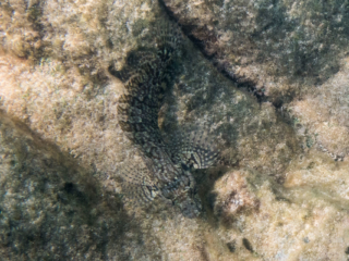 TJDomsalla_0030_SONY-DSC-RX100M5_20170613_0030030_18.3 mm_ISO 640_1-2000 Sek. bei f - 5,6.jpg TJDomsalla_0030_SONY-DSC-RX100M5_20170613_0030030_18.3 mm_ISO 640_1-2000 Sek. bei f - 5,6.jpg