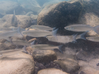 TJDomsalla_0033_SONY-DSC-RX100M5_20170613_0033033_8.8 mm_ISO 640_1-2000 Sek. bei f - 6,3.jpg TJDomsalla_0033_SONY-DSC-RX100M5_20170613_0033033_8.8 mm_ISO 640_1-2000 Sek. bei f - 6,3.jpg