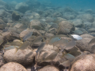 TJDomsalla_0034_SONY-DSC-RX100M5_20170613_0034034_8.8 mm_ISO 640_1-2000 Sek. bei f - 6,3.jpg TJDomsalla_0034_SONY-DSC-RX100M5_20170613_0034034_8.8 mm_ISO 640_1-2000 Sek. bei f - 6,3.jpg