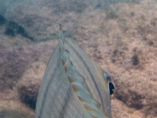 TJDomsalla_0035_SONY-DSC-RX100M5_20170614_0035035_19.67 mm_ISO 640_1-800 Sek. bei f - 11.jpg TJDomsalla_0035_SONY-DSC-RX100M5_20170614_0035035_19.67 mm_ISO 640_1-800 Sek. bei f - 11.jpg