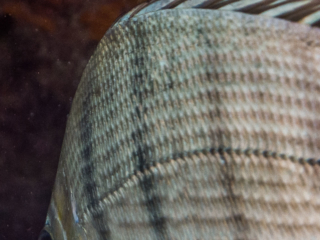 TJDomsalla_0036_SONY-DSC-RX100M5_20170614_0036036_19.67 mm_ISO 640_1-800 Sek. bei f - 5,0.jpg TJDomsalla_0036_SONY-DSC-RX100M5_20170614_0036036_19.67 mm_ISO 640_1-800 Sek. bei f - 5,0.jpg