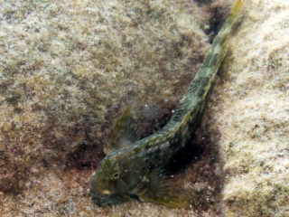 TJDomsalla_0039_SONY-DSC-RX100M5_20170615_0039039_8.8 mm_ISO 400_1-1250 Sek. bei f - 2,8.jpg TJDomsalla_0039_SONY-DSC-RX100M5_20170615_0039039_8.8 mm_ISO 400_1-1250 Sek. bei f - 2,8.jpg