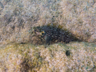 TJDomsalla_0041_SONY-DSC-RX100M5_20170614_0041041_8.8 mm_ISO 640_1-1600 Sek. bei f - 4,0.jpg TJDomsalla_0041_SONY-DSC-RX100M5_20170614_0041041_8.8 mm_ISO 640_1-1600 Sek. bei f - 4,0.jpg