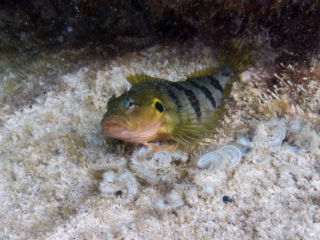 TJDomsalla_0043_SONY-DSC-RX100M5_20170614_0043043_8.8 mm_ISO 640_1-1600 Sek. bei f - 4,5.jpg TJDomsalla_0043_SONY-DSC-RX100M5_20170614_0043043_8.8 mm_ISO 640_1-1600 Sek. bei f - 4,5.jpg