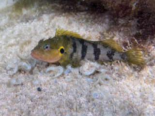 TJDomsalla_0044_SONY-DSC-RX100M5_20170614_0044044_8.8 mm_ISO 640_1-1600 Sek. bei f - 4,0.jpg TJDomsalla_0044_SONY-DSC-RX100M5_20170614_0044044_8.8 mm_ISO 640_1-1600 Sek. bei f - 4,0.jpg