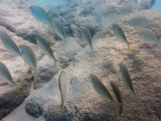 TJDomsalla_0045_SONY-DSC-RX100M5_20170614_0045045_8.8 mm_ISO 640_1-1250 Sek. bei f - 8,0.jpg TJDomsalla_0045_SONY-DSC-RX100M5_20170614_0045045_8.8 mm_ISO 640_1-1250 Sek. bei f - 8,0.jpg