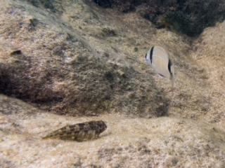 TJDomsalla_0049_SONY-DSC-RX100M5_20170615_0049049_8.8 mm_ISO 400_1-1250 Sek. bei f - 4,0.jpg TJDomsalla_0049_SONY-DSC-RX100M5_20170615_0049049_8.8 mm_ISO 400_1-1250 Sek. bei f - 4,0.jpg