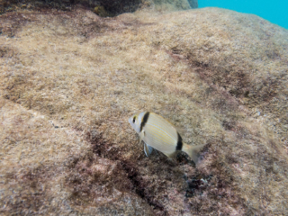 TJDomsalla_0050_SONY-DSC-RX100M5_20170615_0050050_8.8 mm_ISO 400_1-1600 Sek. bei f - 4,5.jpg TJDomsalla_0050_SONY-DSC-RX100M5_20170615_0050050_8.8 mm_ISO 400_1-1600 Sek. bei f - 4,5.jpg