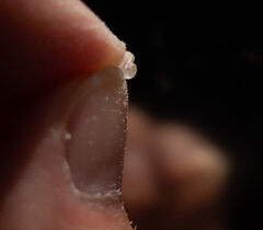 Ansicht des Positionslichtes von der Seite