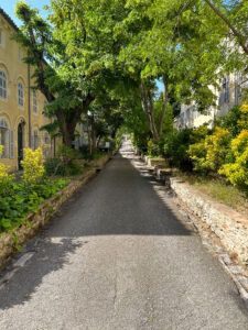 i20230527-105724-1189-3024 x 4032-IMG_2472.jpg