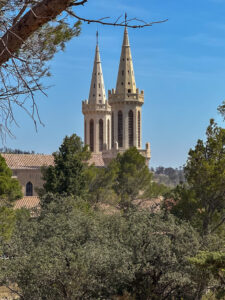 i20230527-111447-1281-3024 x 4032-IMG_2518.jpg