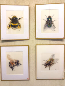 i20230527-121617-1329-6048 x 8064-IMG_2546.jpg