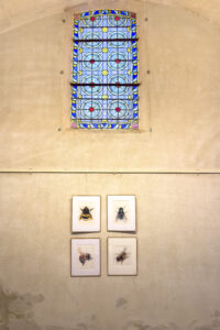 i20230527-121642-1331-6048 x 8064-IMG_2547.jpg