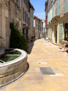 i20230527-140738-1347-6048 x 8064-IMG_2560.jpg