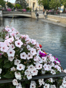 i20230527-204222-1553-3024 x 4032-IMG_2663.jpg