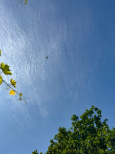 i20230528-120740-1593-6048 x 8064-IMG_2685.jpg