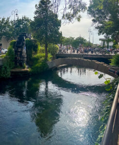 i20230528-180156-1839-3024 x 4032-IMG_2783-Pano.jpg