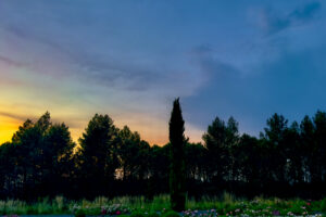 i20230528-212231-1946-8064 x 6048-IMG_2833.jpg