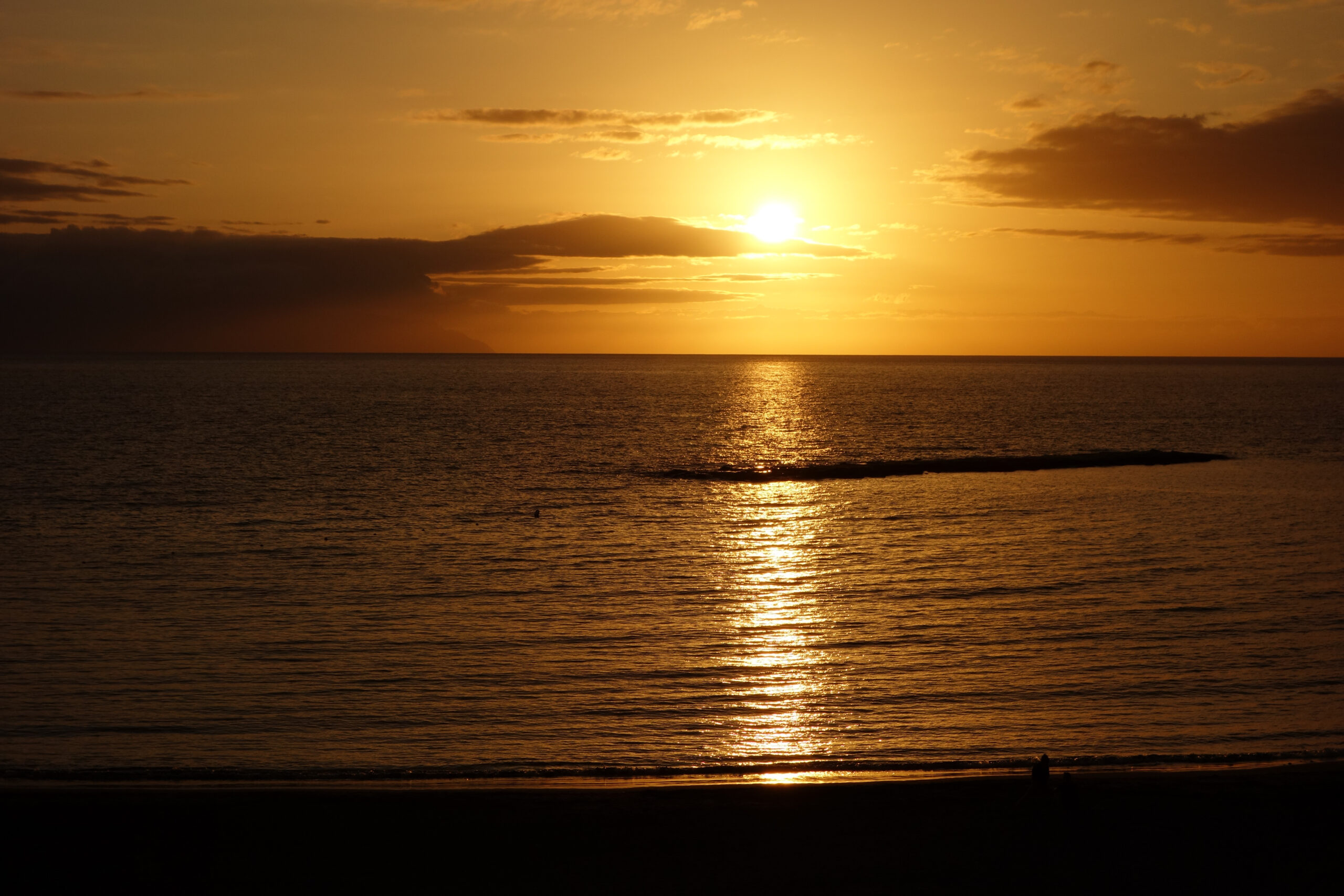 DSC00265.jpg