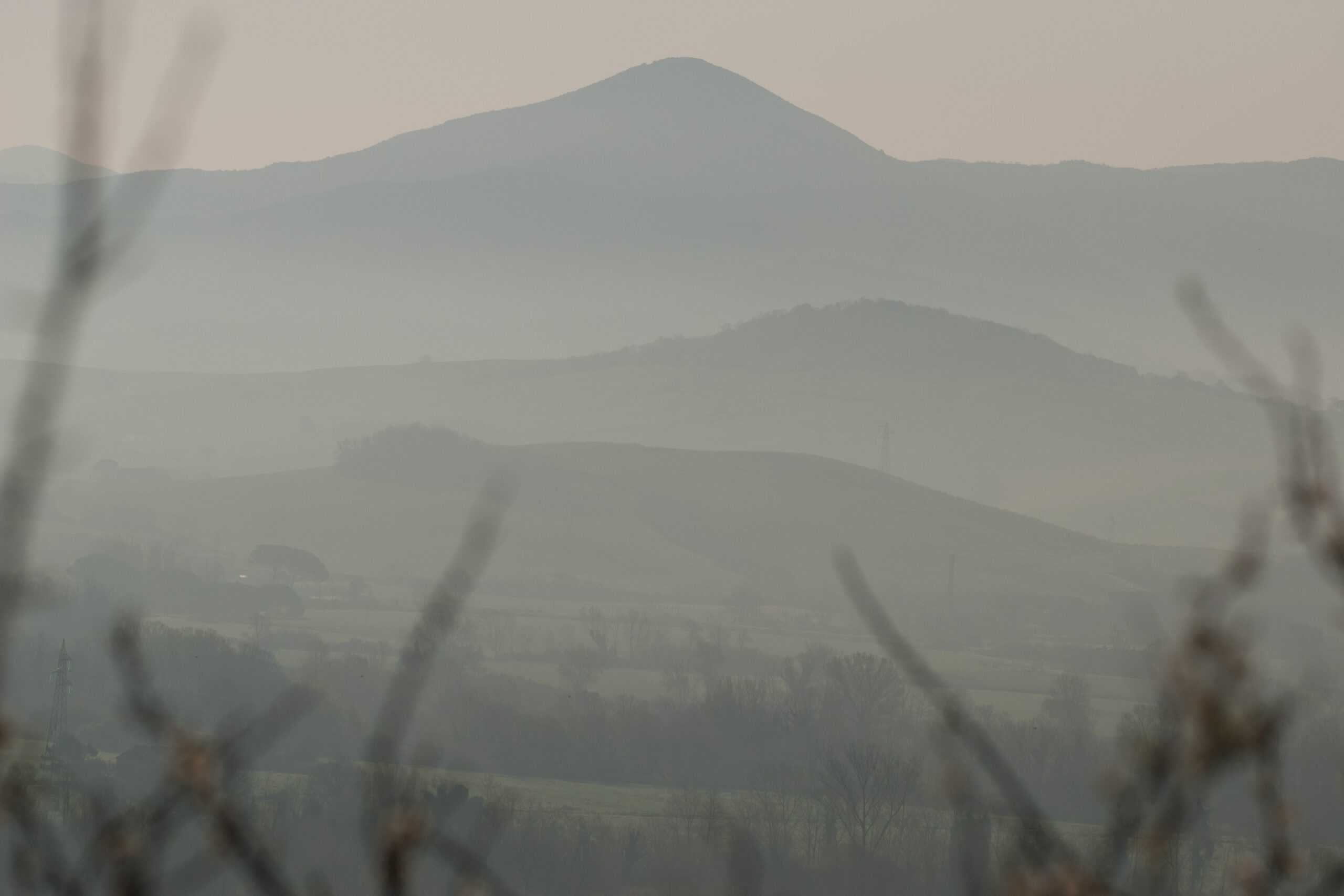 _MG_9655.jpg