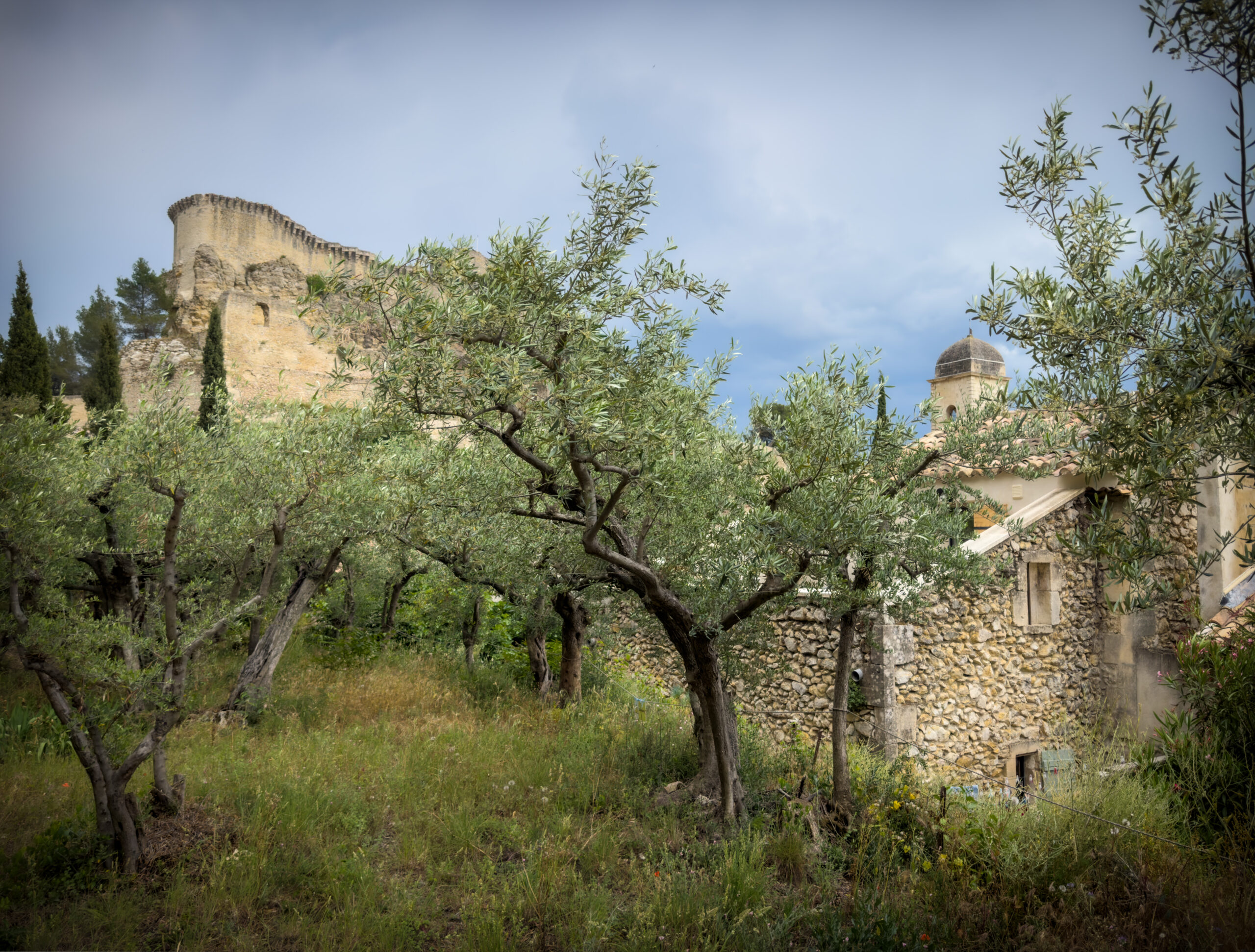 i20230522-154710-409-8064 x 6048-IMG_2018-PTGui-HDRPano-PTGui-HDRPano-tmp.jpg